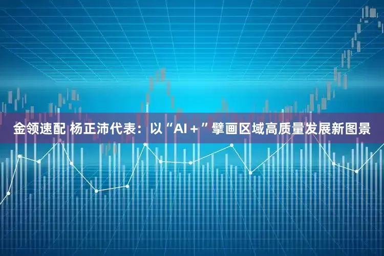 金领速配 杨正沛代表：以“AI＋”擘画区域高质量发展新图景